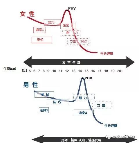 雷竞技RAYBET健康运动从小做起(图4)