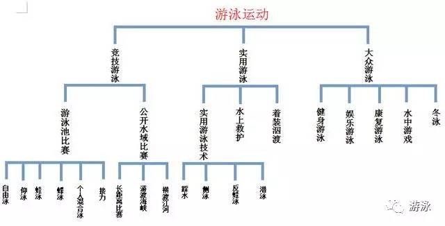 雷竞技RAYBET【知识普及】游泳运动的分类都有哪些呢？(图2)