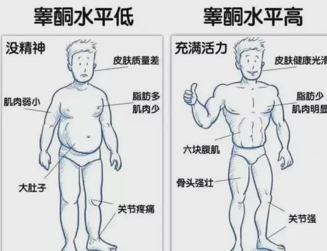 雷竞技RAYBET晒肌肉却被喷丁丁小国人对健身的误解惊到我了(图4)