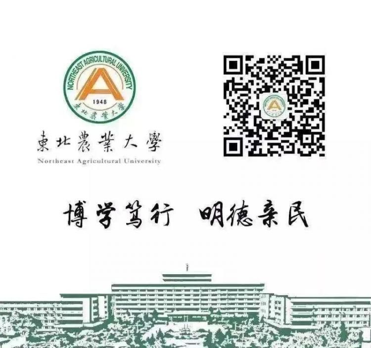 雷竞技RAYBET健身迎冬奥｜寒假锻炼计划（二）(图3)