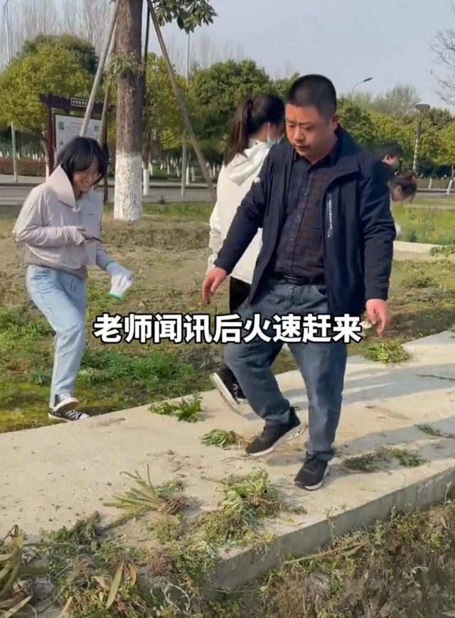 雷竞技RAYBET四川一医学院组织学生拔草女生拔带标签药草发视频：就是想拔(图4)