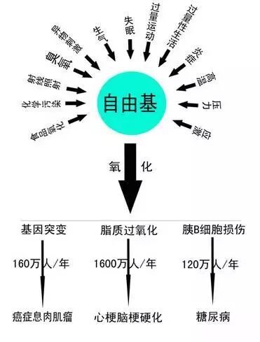 雷竞技RAYBET运动不利健康活动让人长寿原来我们一直搞错了(图3)