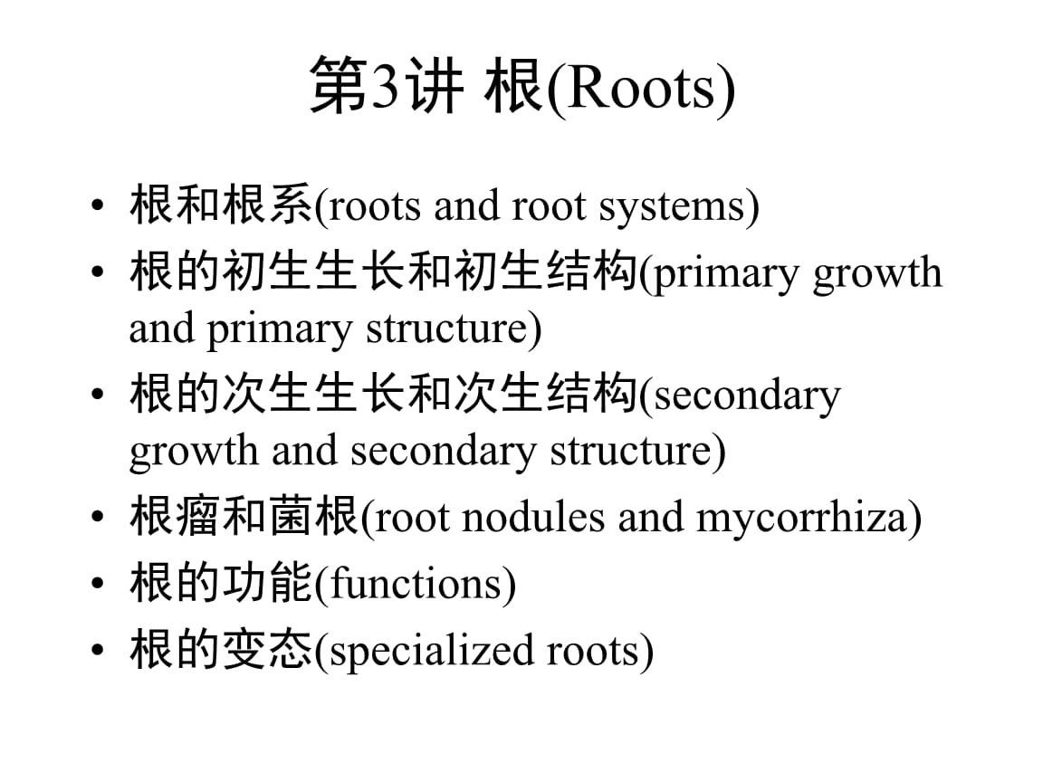 马铃薯茎叶生长的特点