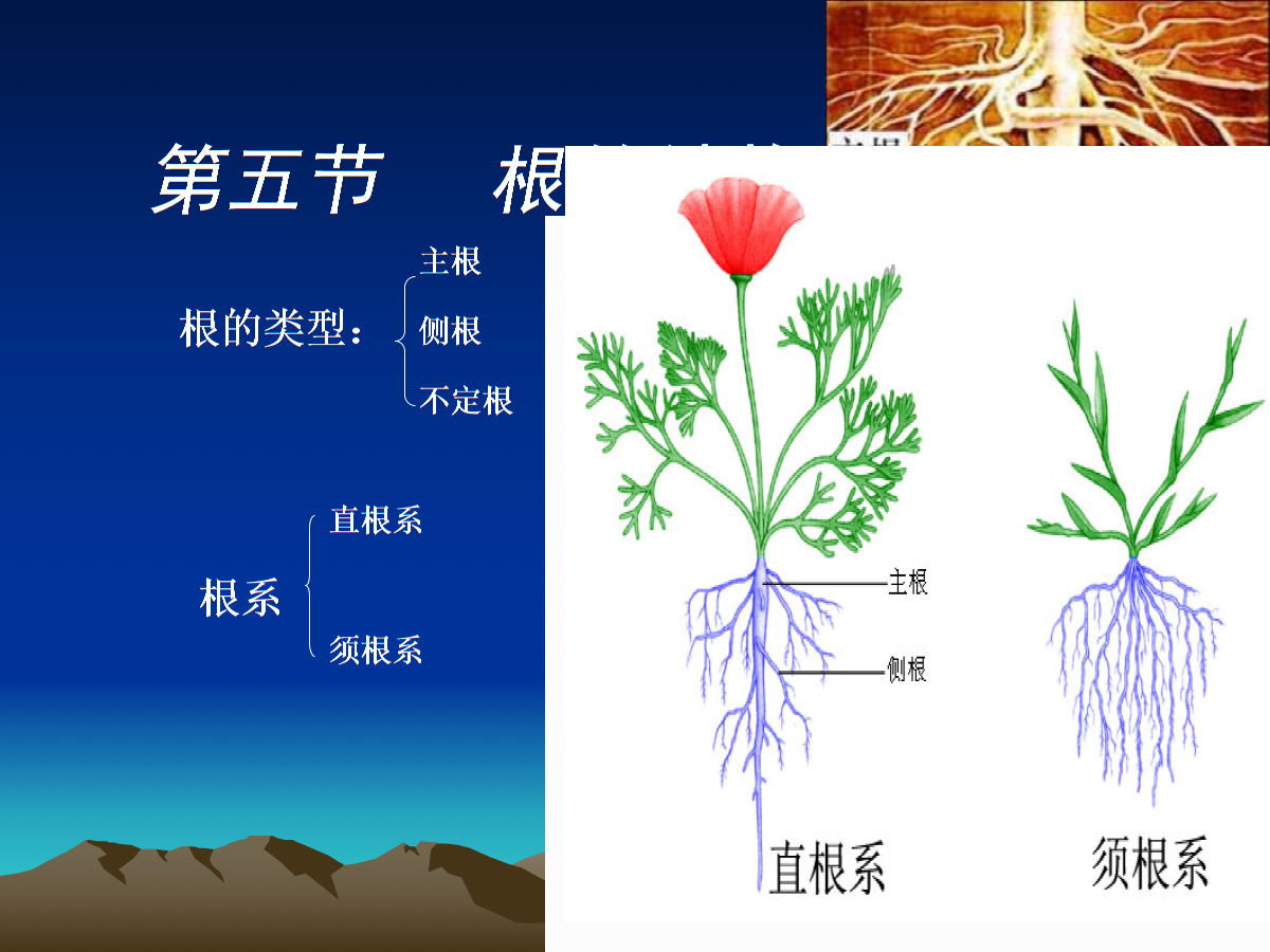 跟着大自然学习做投资——读《仿生投资学