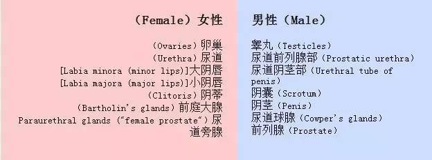 世界上最大睾丸和最贵臀部的传奇故事