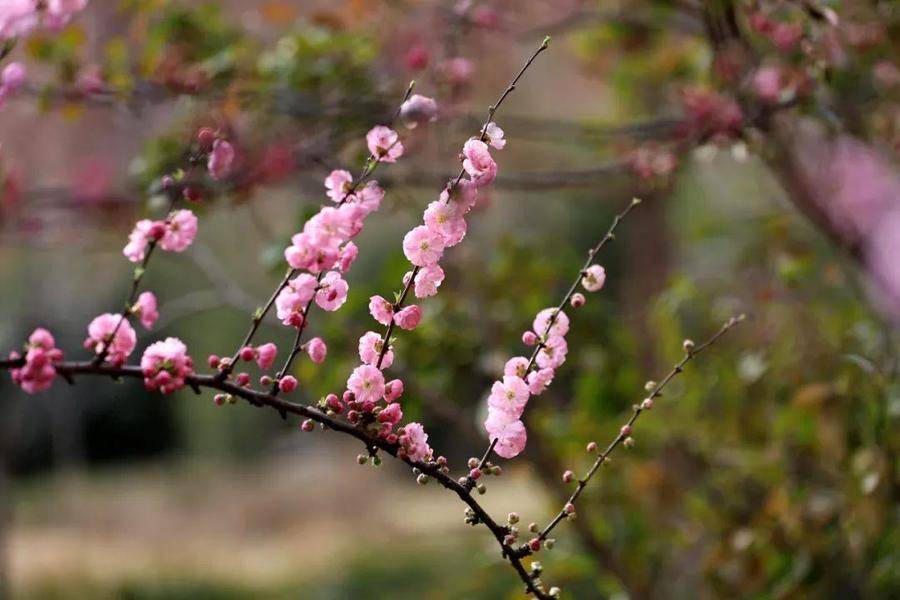 齐鲁早报今天各地将迎来返程高峰；山东泰山队1：0青岛海牛(图13)