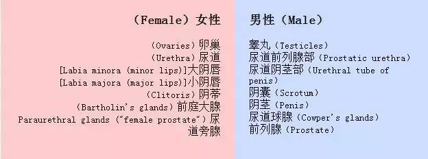 泰国禁止通过睾丸变“人妖”(图)