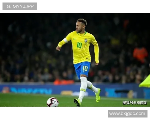 米美洲与老虎竞技的巅峰对决谁能在赛场上笑到最后